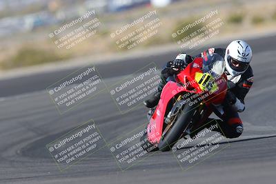 media/Feb-04-2023-SoCal Trackdays (Sat) [[8a776bf2c3]]/Turn 11 (945am)/